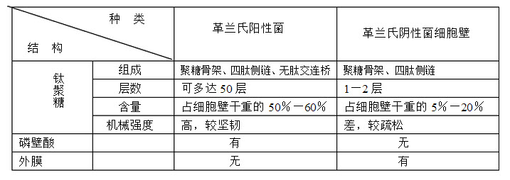 [问答题,简答题] 简述革兰氏阳性菌和革兰氏阴性菌细胞壁组成及医学