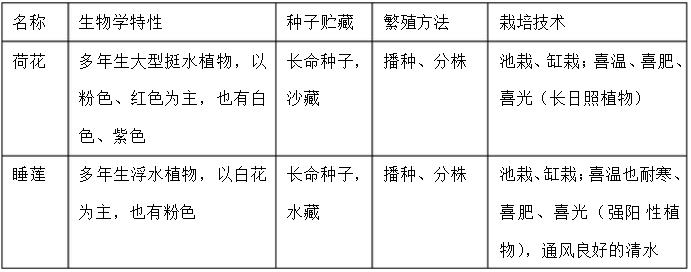 荷花和莲花的区别图片