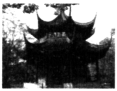 1518b082d31c00e.png