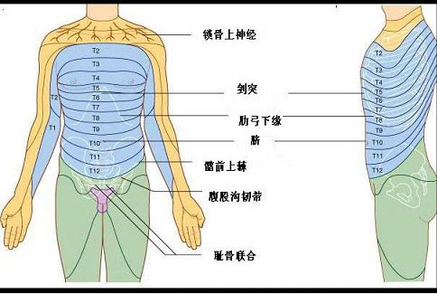 腰麻阻滞平面体表标志图片